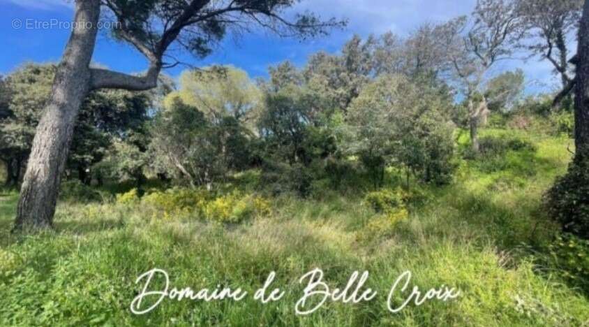 Terrain à VILLENEUVE-LES-AVIGNON