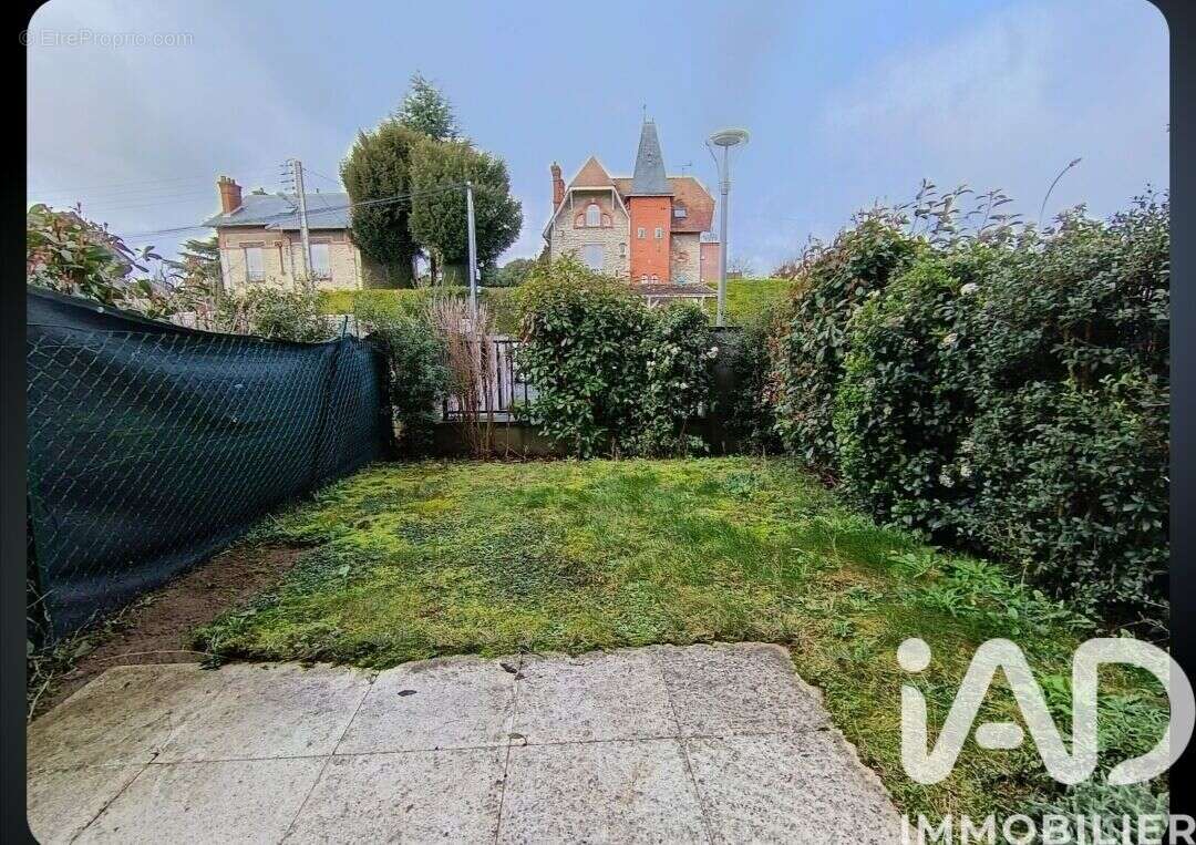 Photo 5