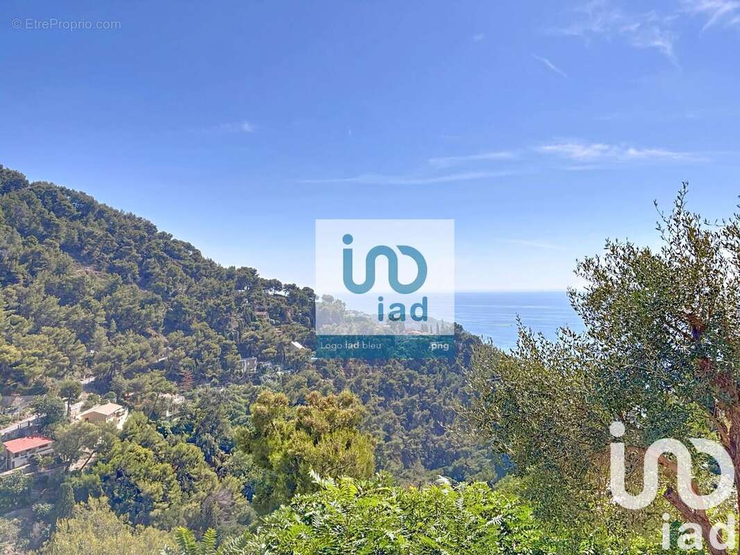 Photo 7 - Maison à ROQUEBRUNE-CAP-MARTIN