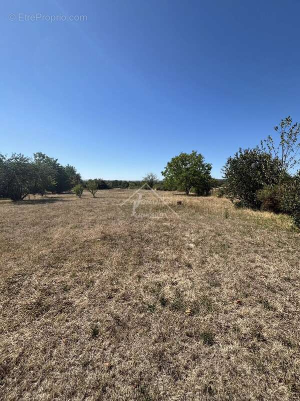 Terrain de 2334 m2 - photo 6