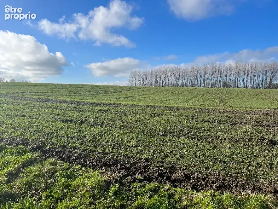 Terrain 1 500 m² à vendre à Divion (62460) - photo 1