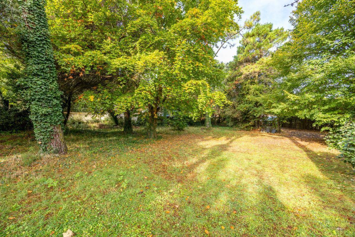 Terrain à LA GUERINIERE