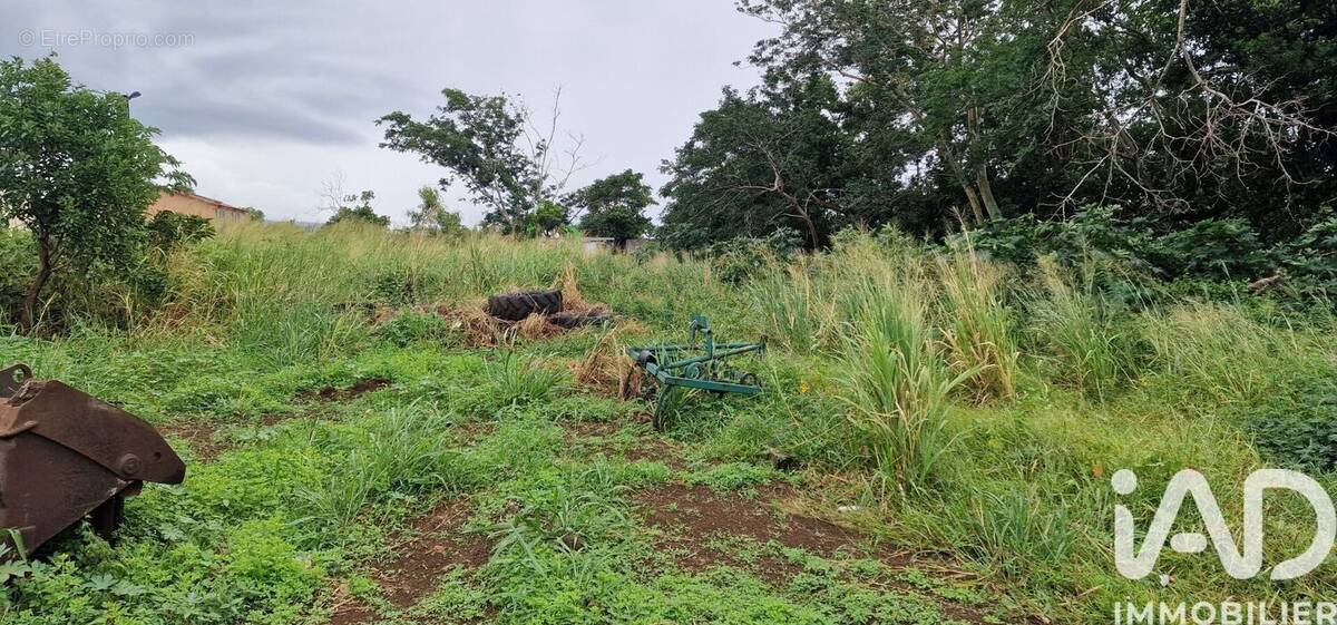 Photo 1 - Terrain à SAINTE-MARIE