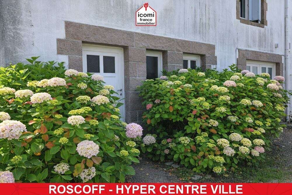 Finistere - roscoff (29680) - a vendre - maison t7 de +150m² : 1 studio et 1 duplex t5  - terrain 350m² environ - garage et stat - photo 1