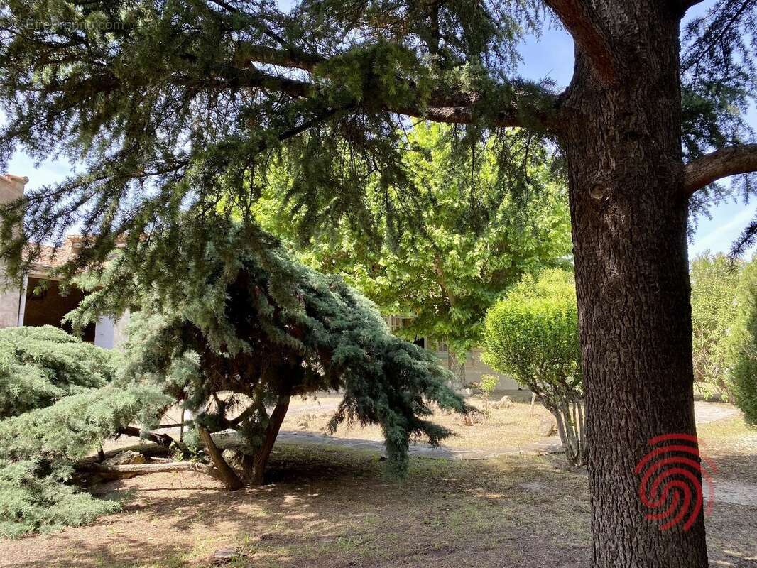 Maison à PUISSERGUIER