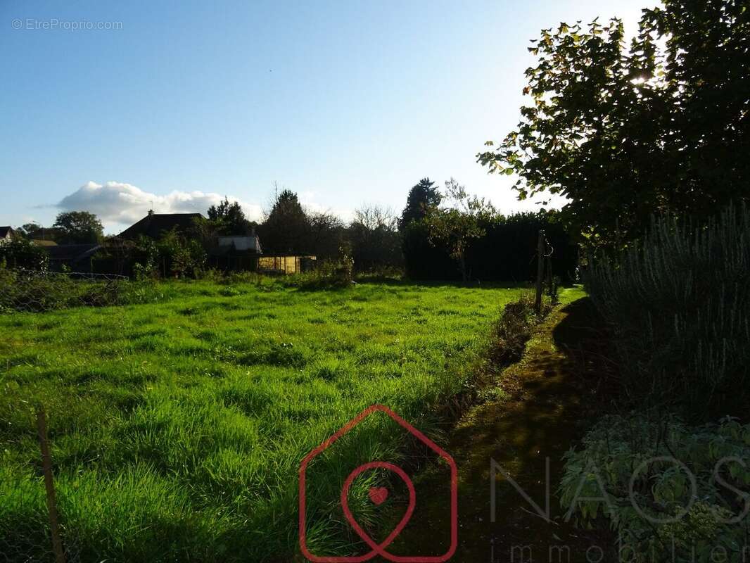 Maison à LA CHAPELLE-D'ANGILLON