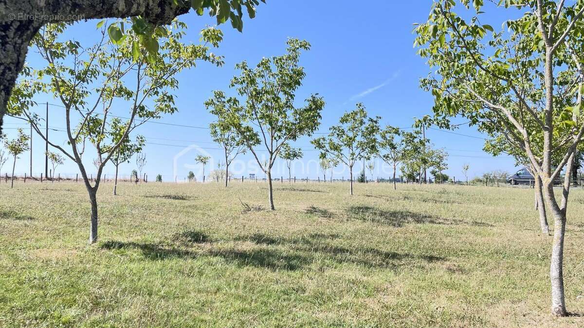 Terrain constructible d'environ 2 000 m² dans un verger – Nailhac - photo 3