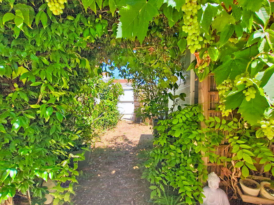 LA ROCHELLE Charmante maison / appartement 2 chambres, jardin - photo 9