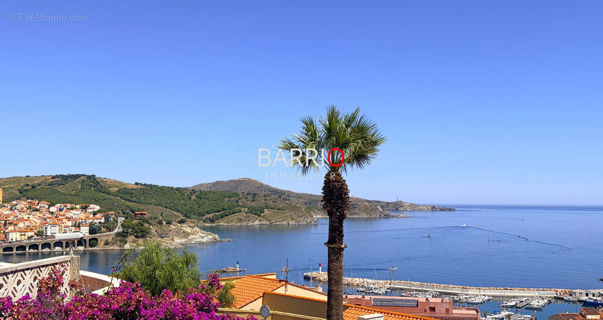 Appartement à BANYULS-SUR-MER