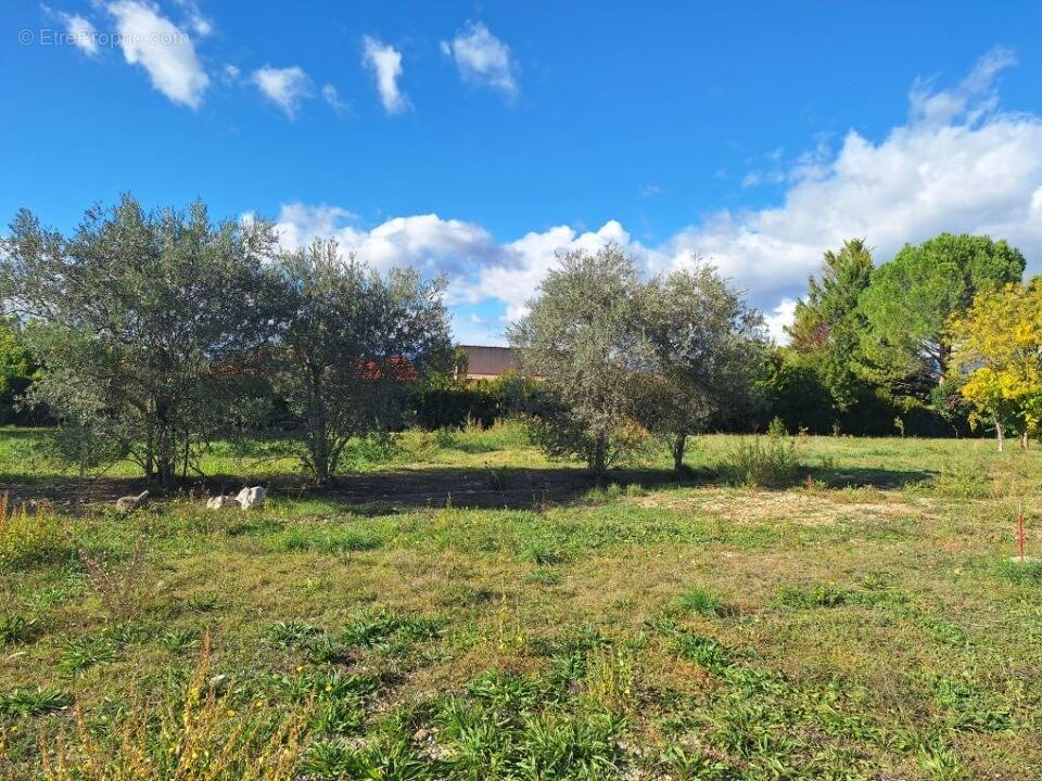 Terrain à ORAISON