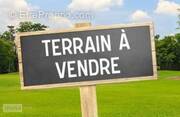 Terrain à DORMELLES