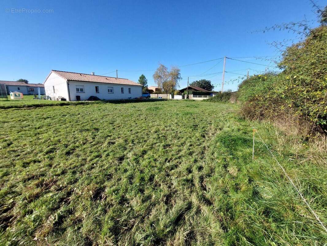 20241024113550 - Terrain à SALIES-DU-SALAT