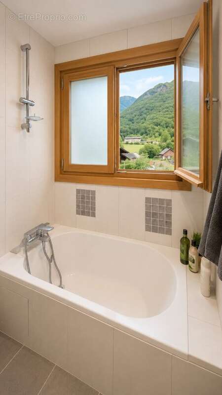 Saint Jeoire appartement T3 - photo 10