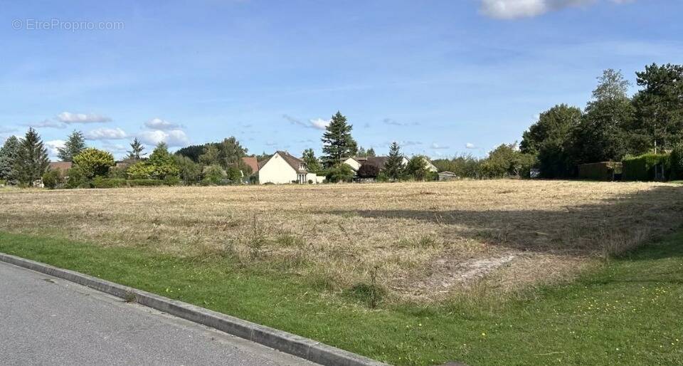 Terrain à BEHOUST