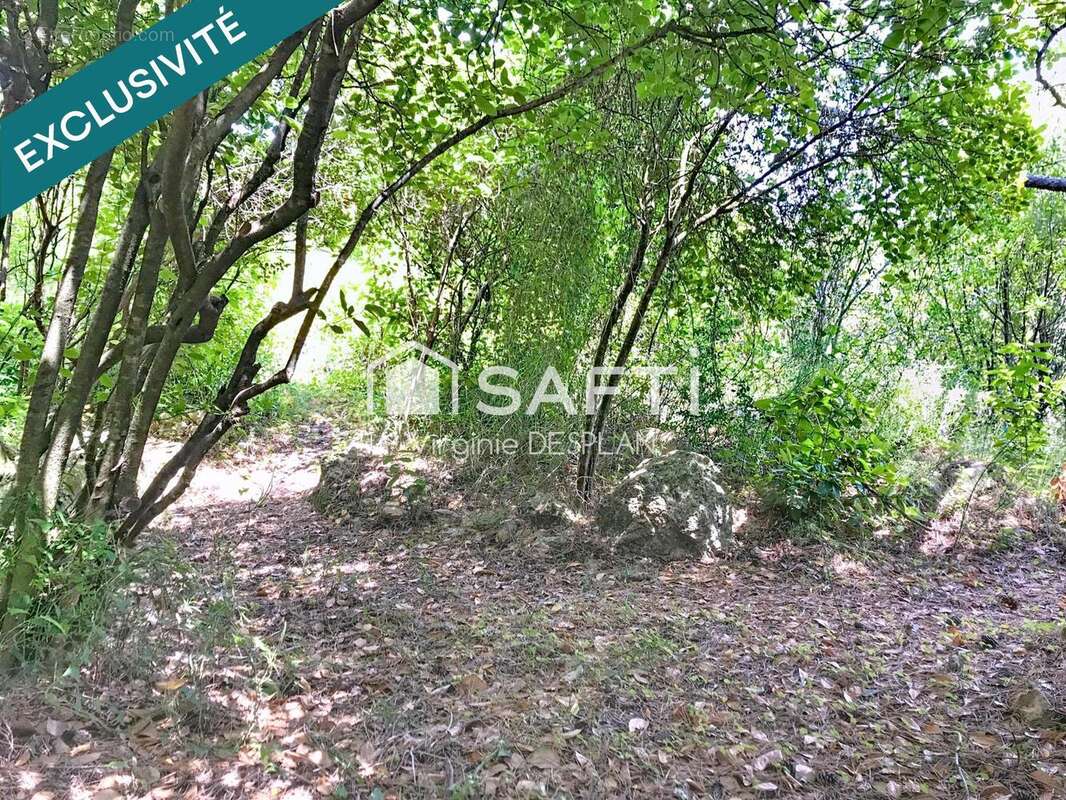 Photo 5 - Maison à LODEVE