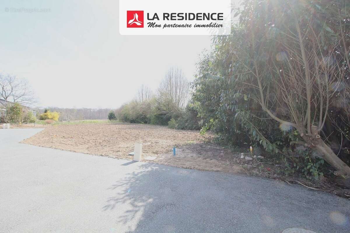 Terrain à QUINCAMPOIX