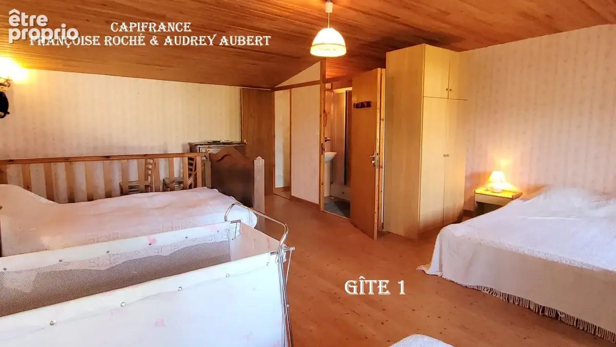 Ensemble immobilier : maison + gîte + annexe + garage, atelier et jardin clos à  NIEUL LES SAINTES (17) - photo 14