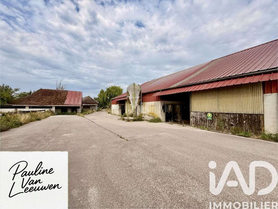 Appartement 28976 m² à Les Bordes-Aumont  - photo 6