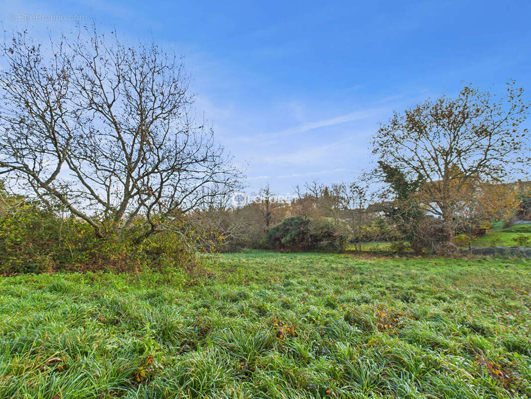 Terrain à PLEUVEN