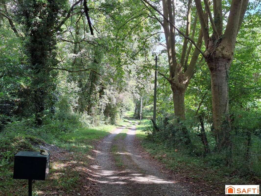 Photo 2 - Maison à MAULEON-LICHARRE