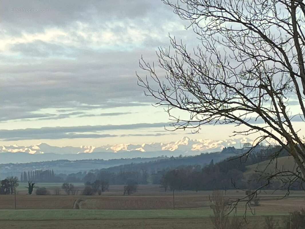 Maison à LABASTIDE-BEAUVOIR