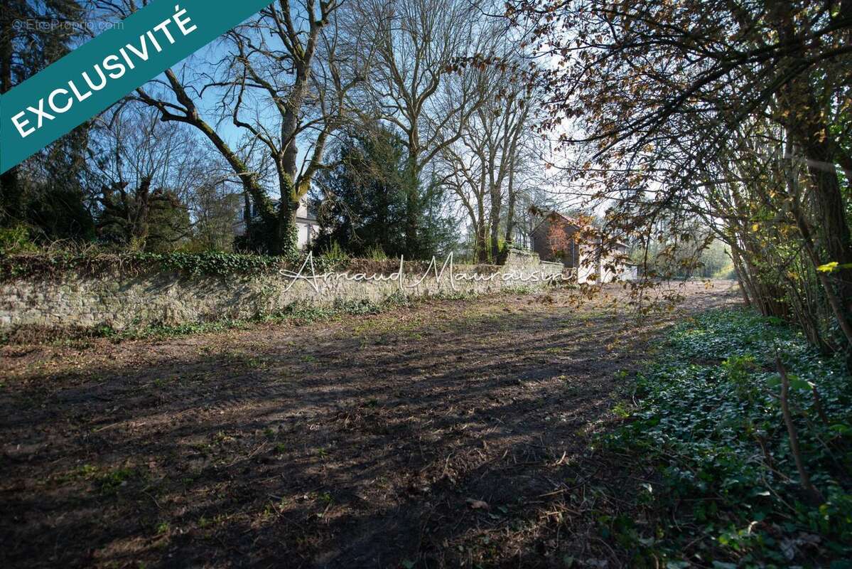 Photo 3 - Terrain à ORRY-LA-VILLE