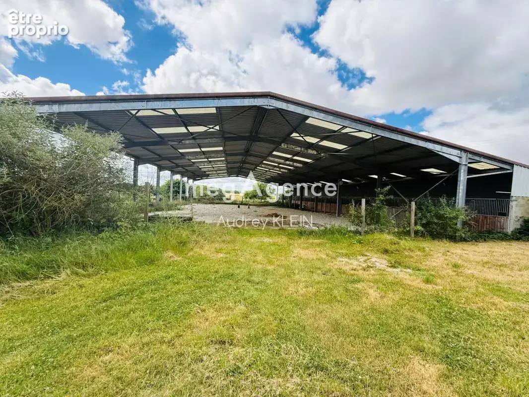 Belle propriété au calme avec terrain, piscine et box équestre - photo 3