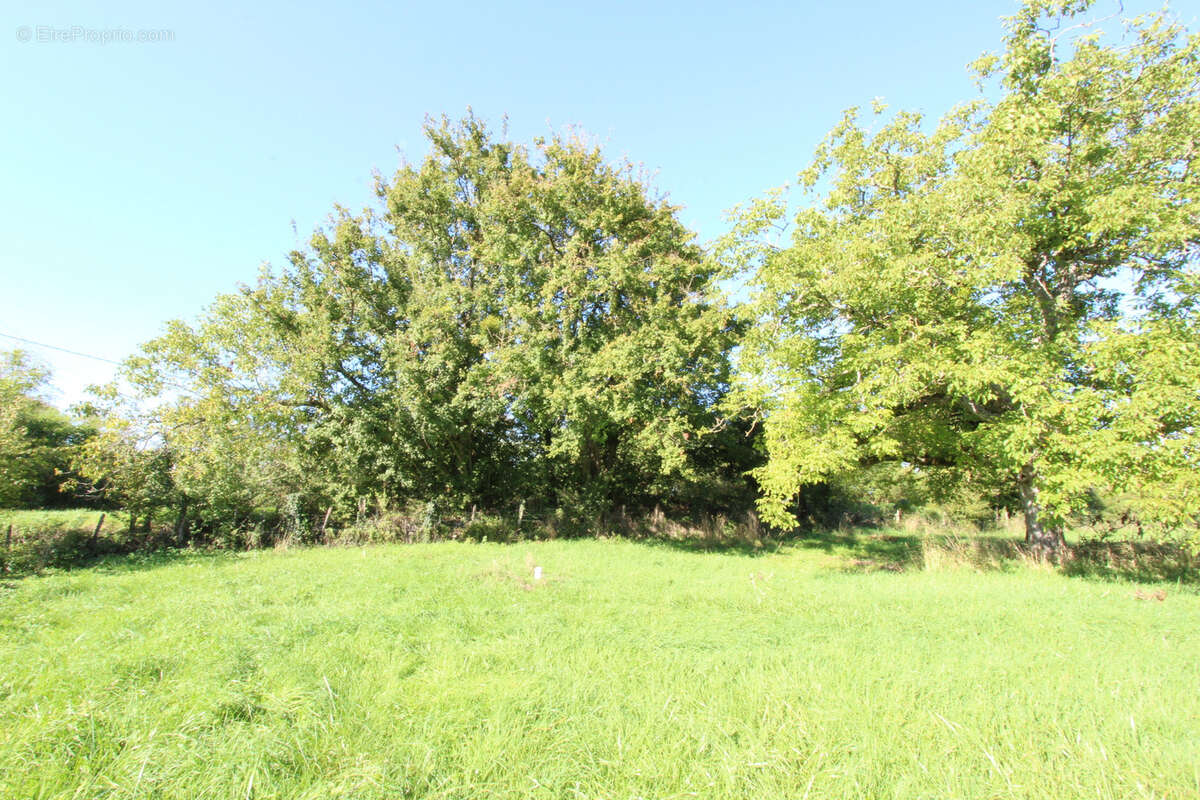 Terrain à LA CHARITE-SUR-LOIRE