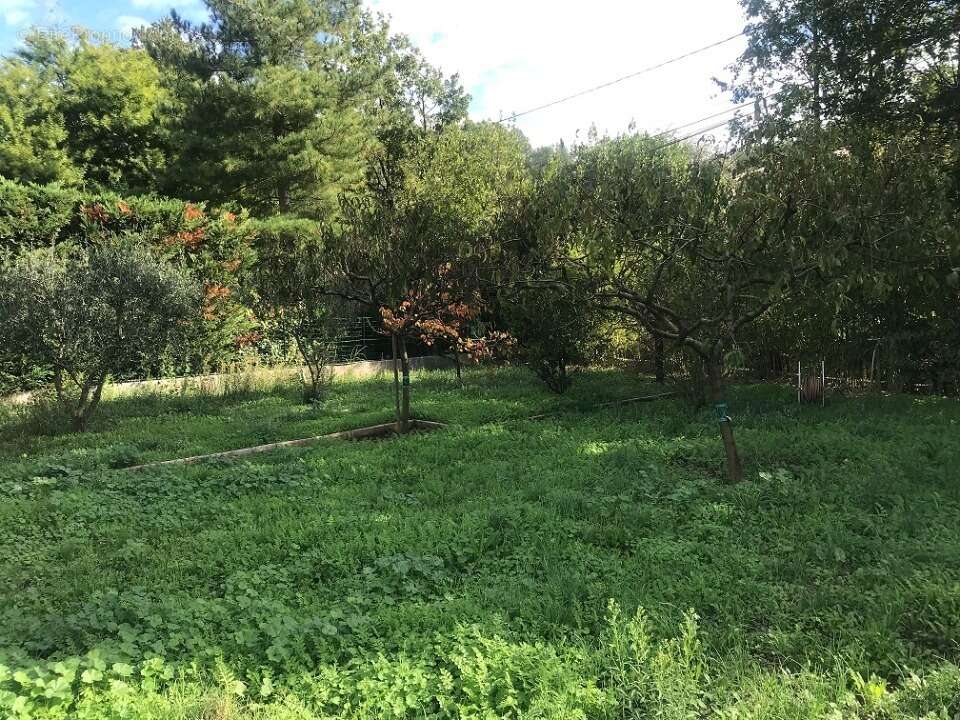 Terrain à PIERREFEU-DU-VAR