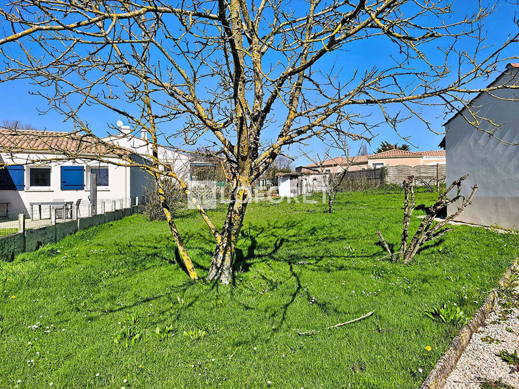 Terrain à COMMEQUIERS
