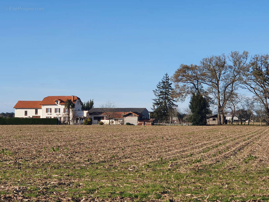 Maison à ARZACQ-ARRAZIGUET