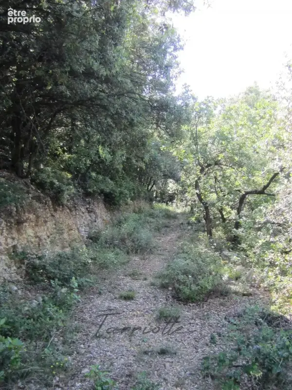 Terrain - 10874 - photo 2
