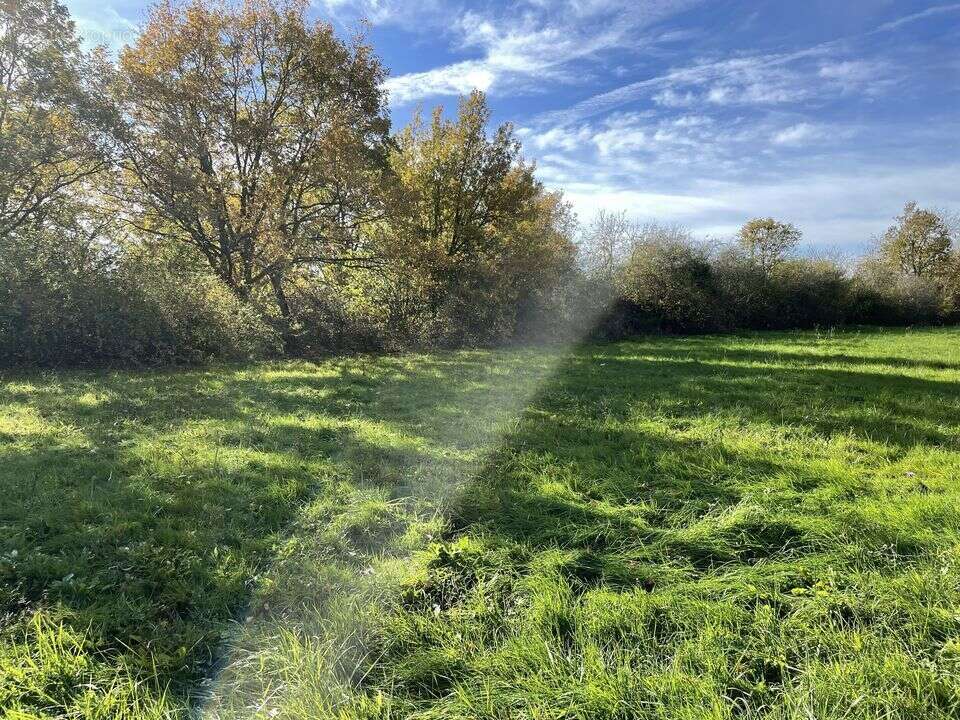 Terrain à SAINT-SYLVESTRE-PRAGOULIN