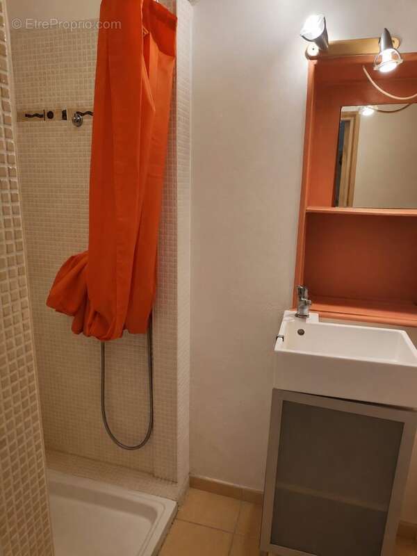 Maison 170 m² à Hauterives  - photo 7