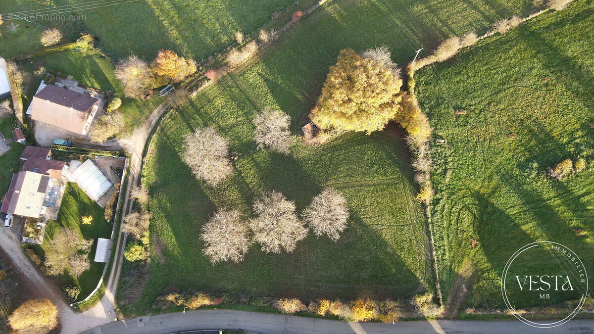 Terrain à MONTENOIS