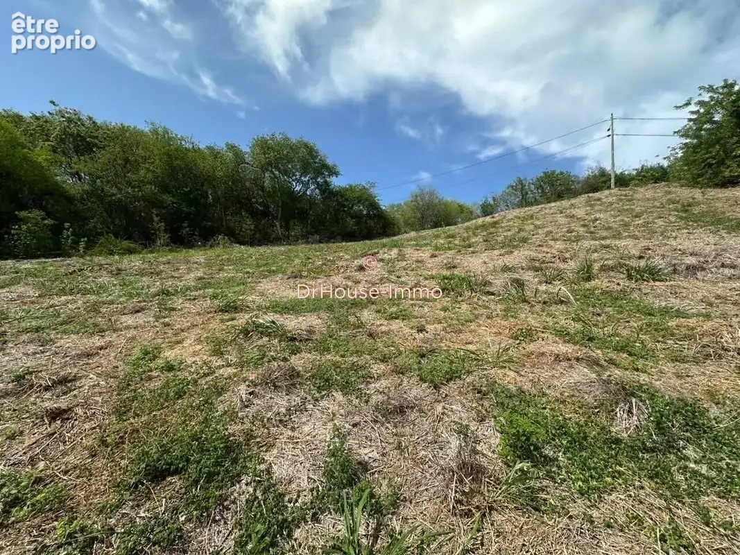 Terrain 3 699 m² à vendre à Le Robert (97231) - photo 5