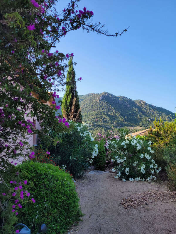 Maison avec piscine, jardin et terrain constructible ? Proximité rivière du Cavu (Sainte-Lucie de Porto-Vecchio - photo 14