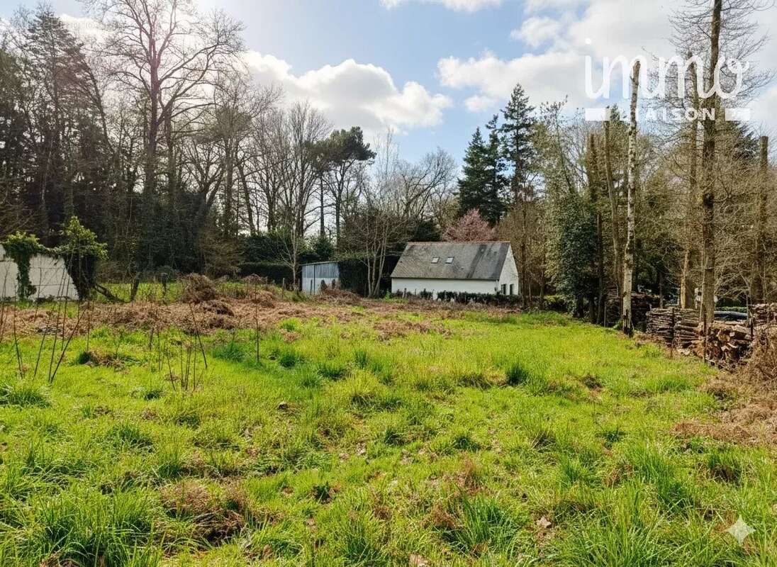 Terrain à LES BRULAIS