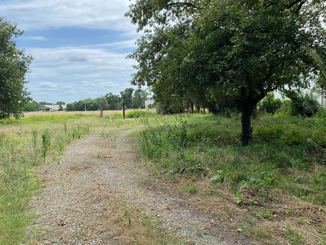 Terrain à RION-DES-LANDES