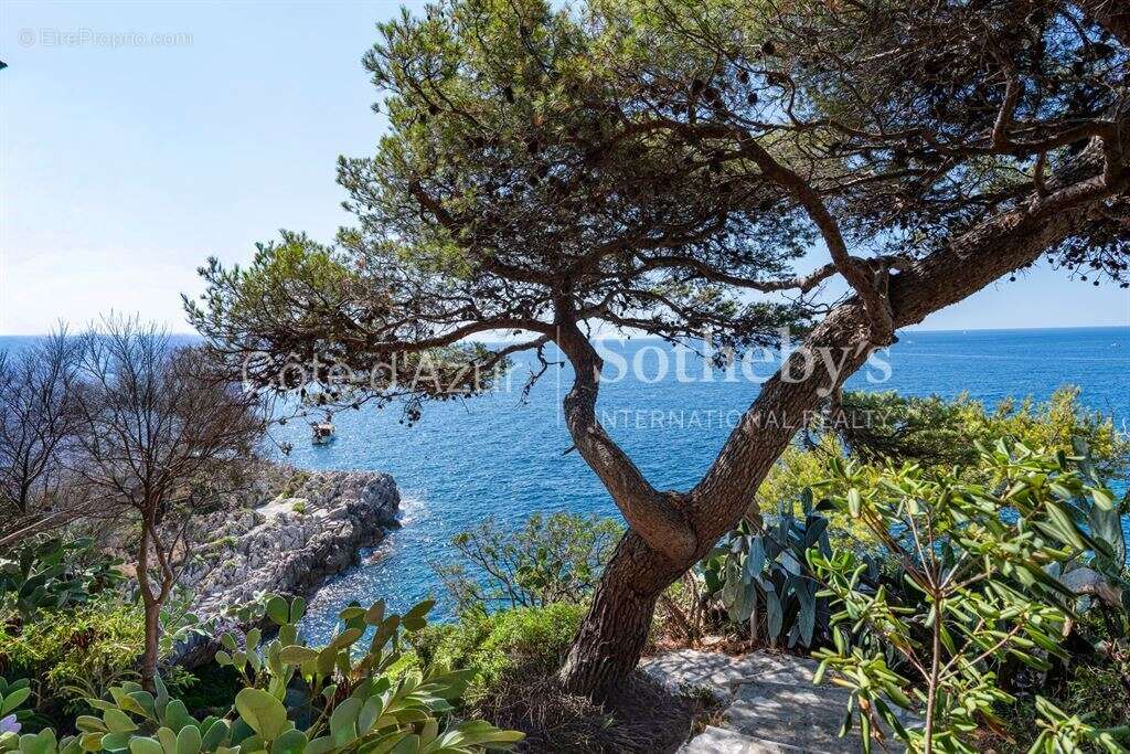 Cap de Nice, villa pieds dans l'eau de 229 m² avec accès direct à la mer et deux garages - photo 15