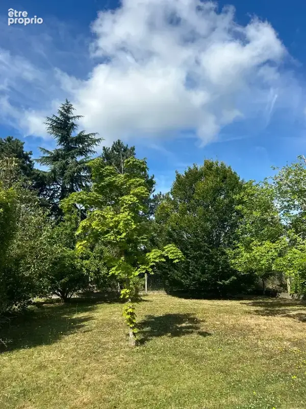 Terrain à CHEILLE