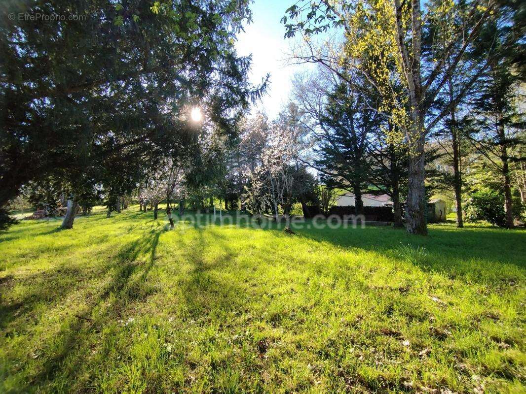 Charente, proche La Rochefoucauld, maison 200 m², piscine couverte avec terrain 5529 m² - photo 6