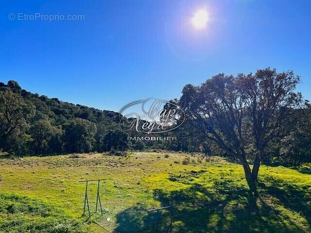 Maison à LE LAVANDOU