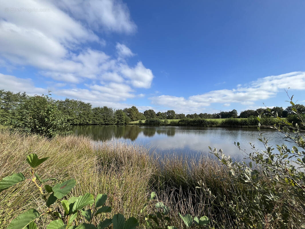 Terrain à LES CLOUZEAUX