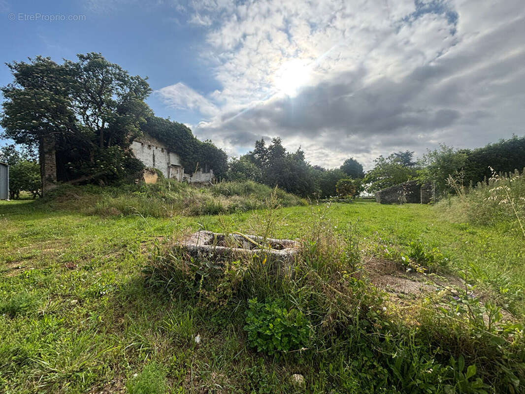 Terrain à ECOYEUX
