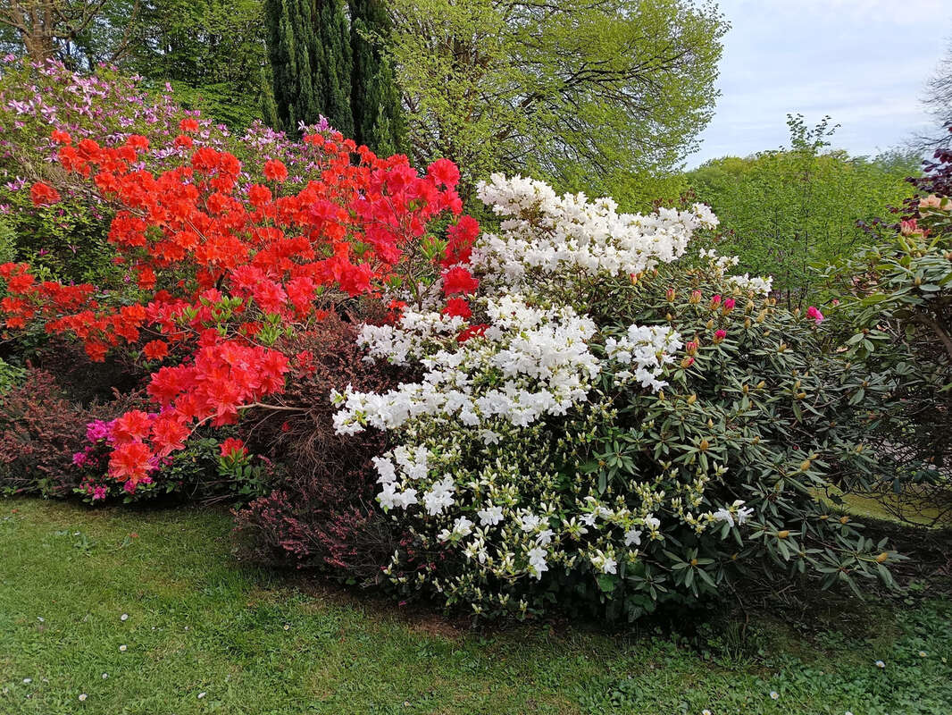 Maison à LA FRENAYE