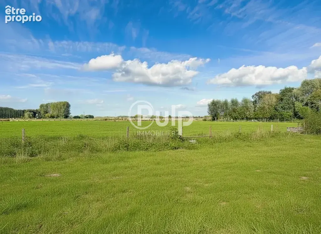 Maison à rénover- Fort potentiel- Flines-lez-Râches - photo 14
