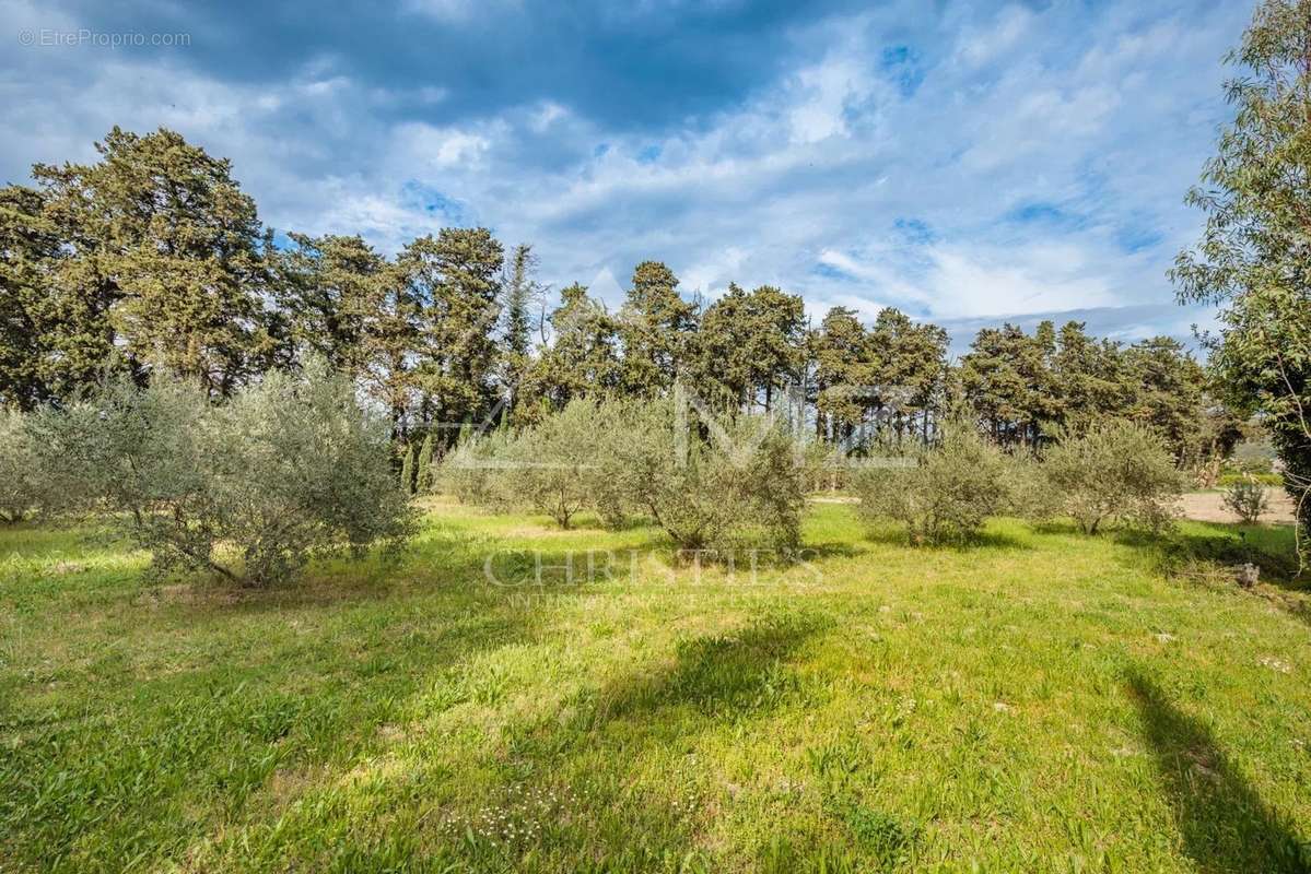 Maison à SAINT-REMY-DE-PROVENCE