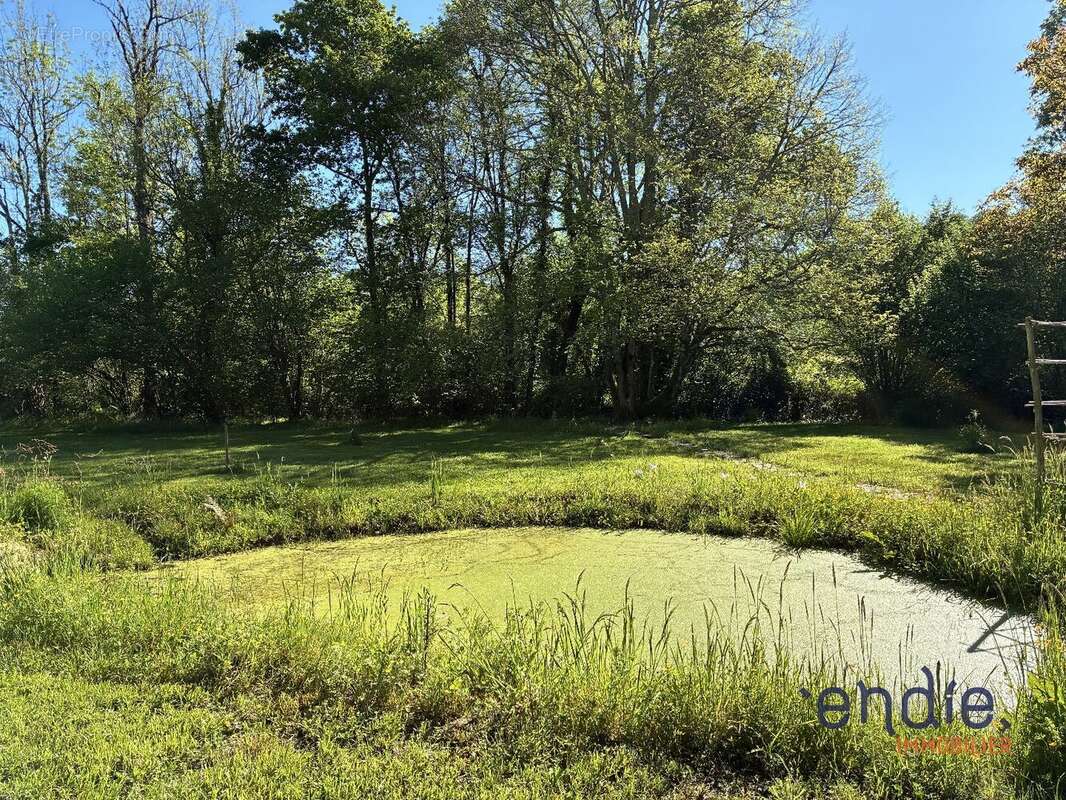 Terrain à LACOMMANDE