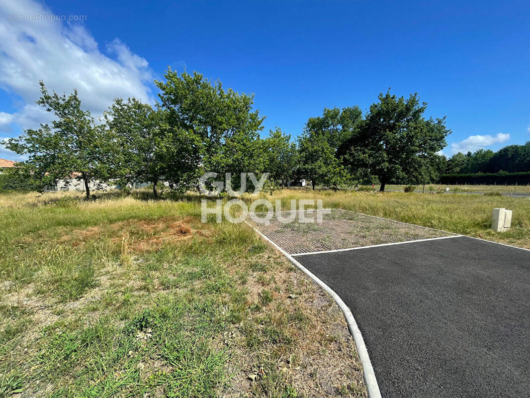 Terrain à PARENTIS-EN-BORN